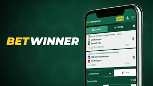 Exploring the Thrills of Sports Betting on BetWinner
